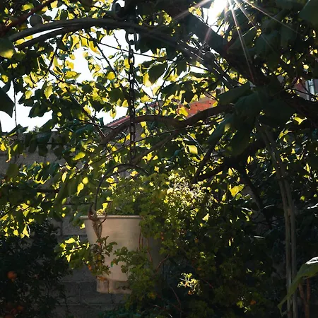 Maison Marinella *